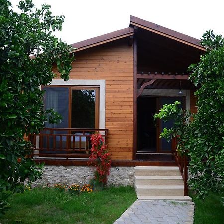 Villa Bilge Çıralı 客房 照片