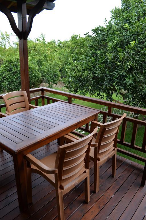 Villa Bilge Çıralı 客房 照片