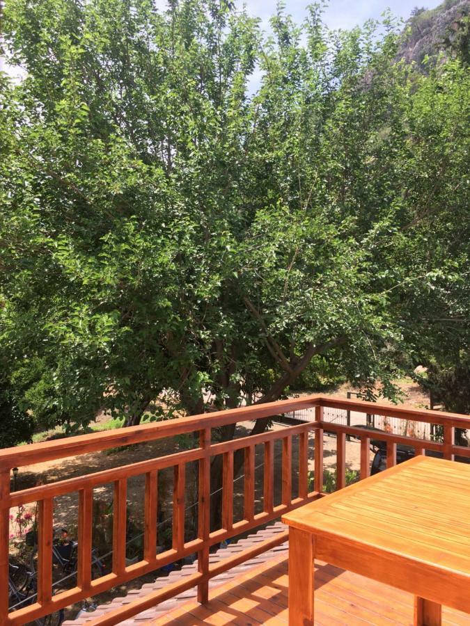 Villa Bilge Çıralı 外观 照片