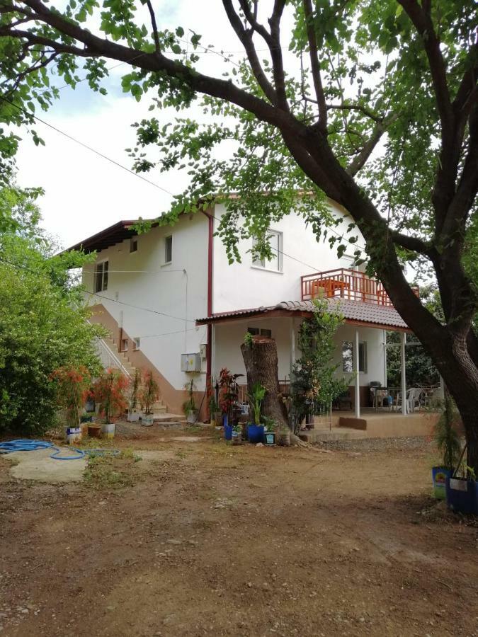 Villa Bilge Çıralı 外观 照片