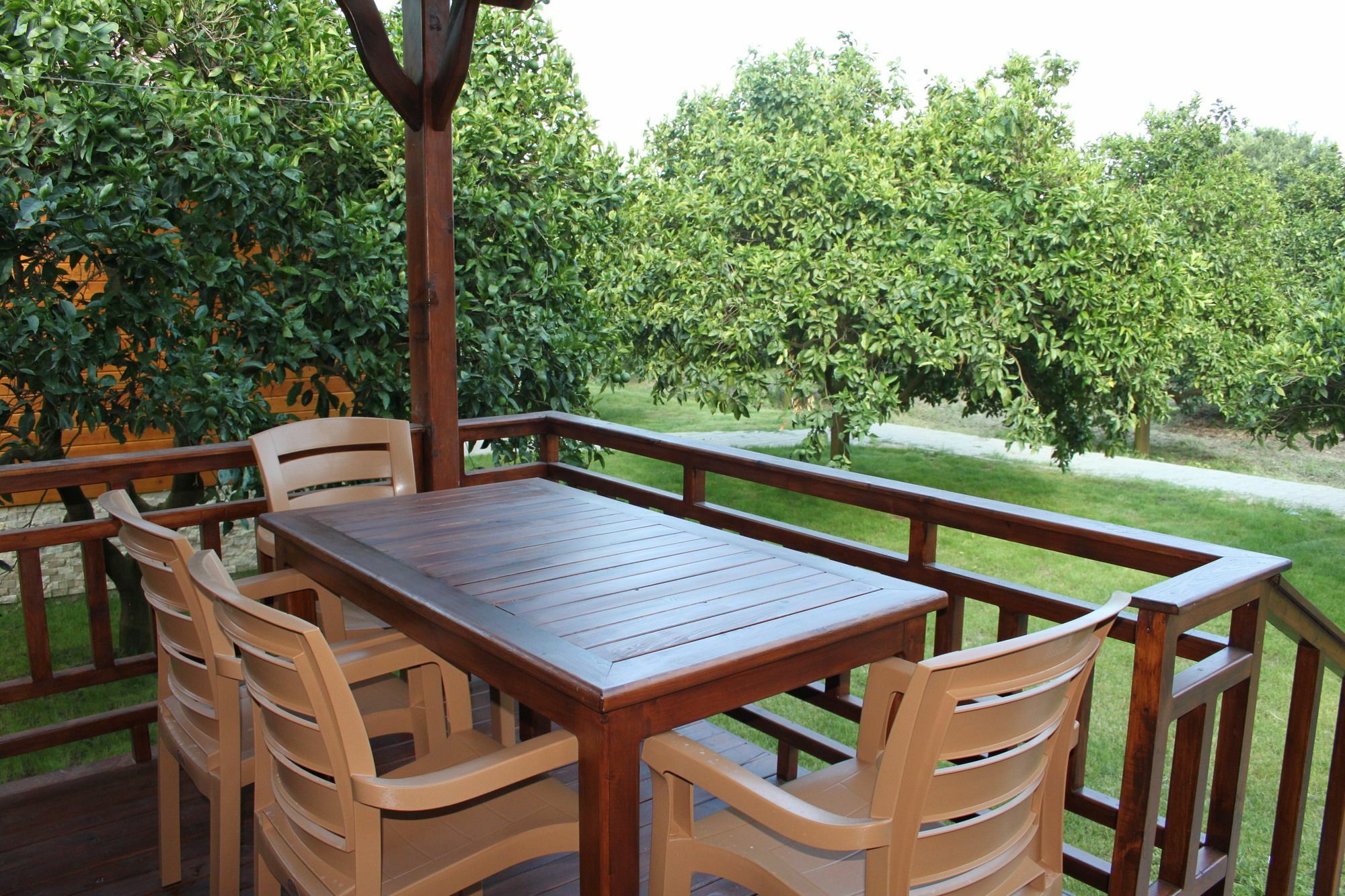 Villa Bilge Çıralı 外观 照片