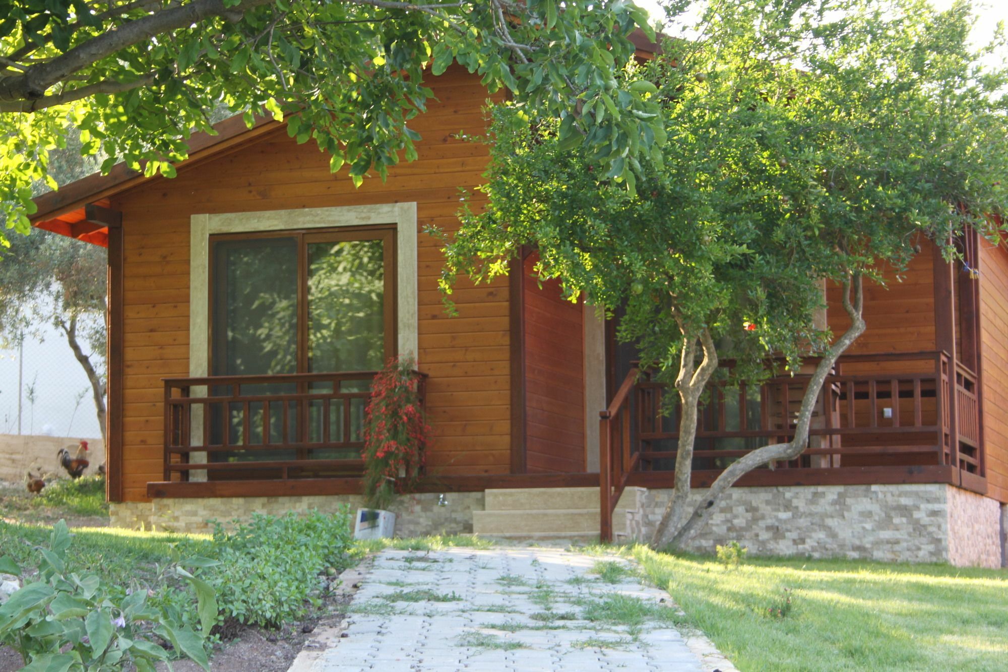 Villa Bilge Çıralı 外观 照片