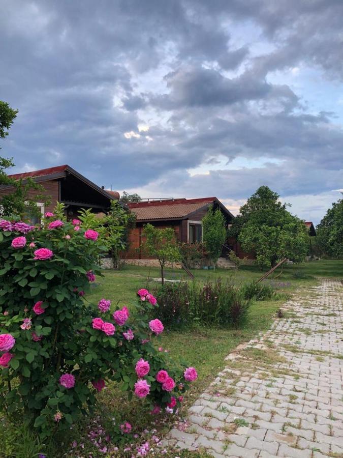 Villa Bilge Çıralı 外观 照片