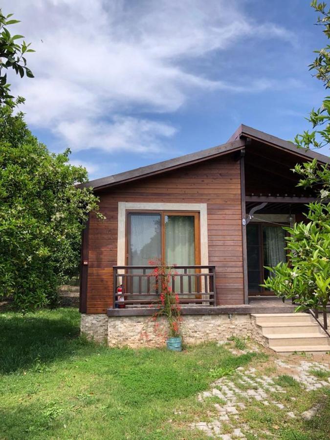 Villa Bilge Çıralı 外观 照片